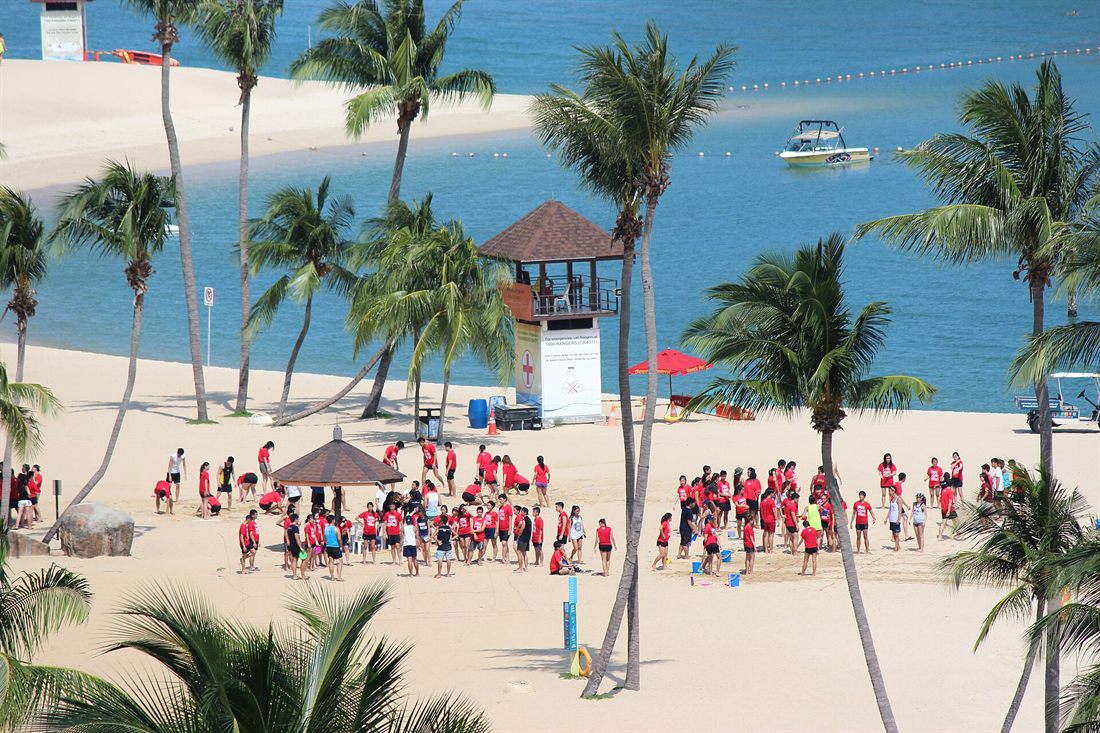 Palm trees and sand at Siloso Beach on Sentosa, Singapore
