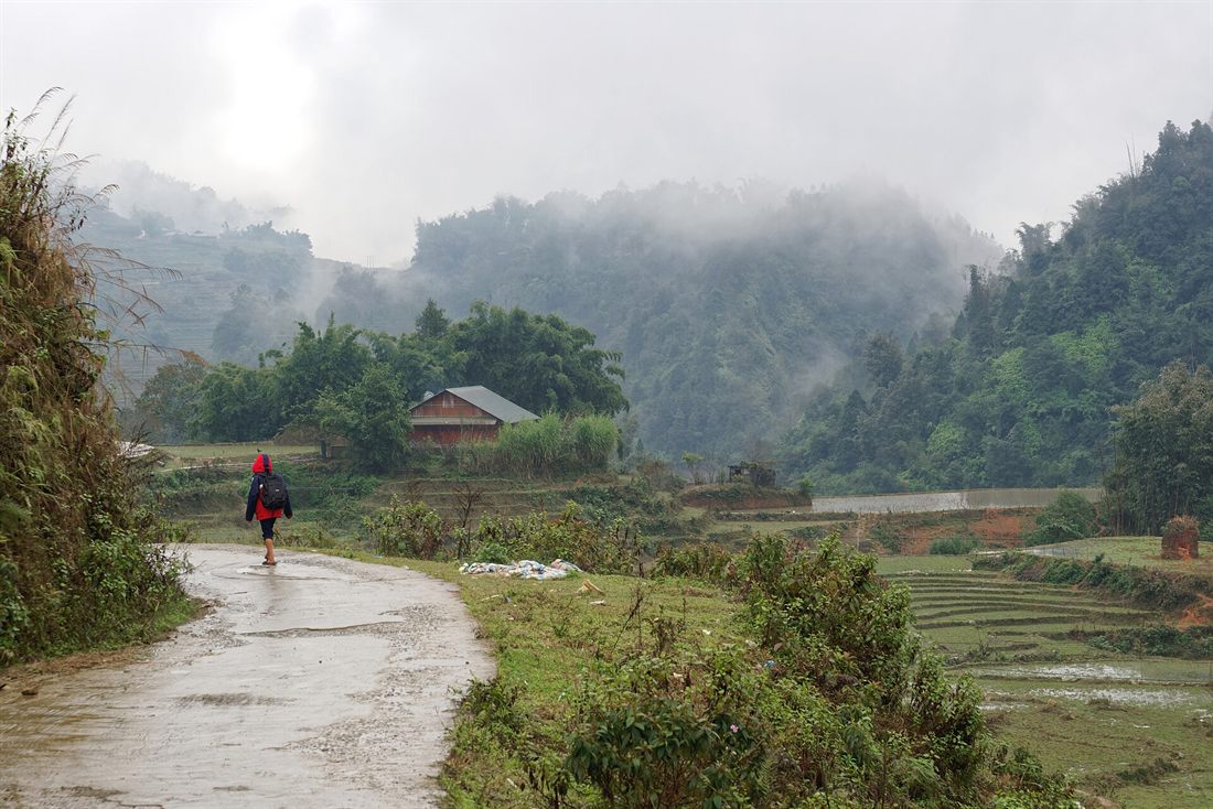 Path winding through the rice terraces of Sa Pa, Vietnam