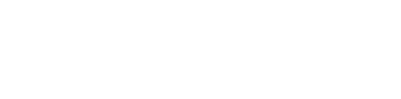 FlyTravio