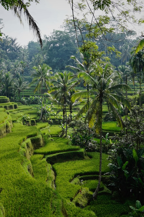Bali, Indonesia