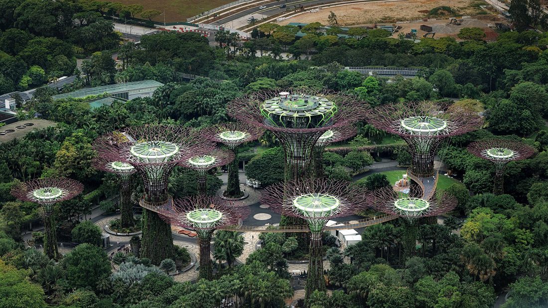 Supertree Grove, Gardens by the Bay, Singapore
